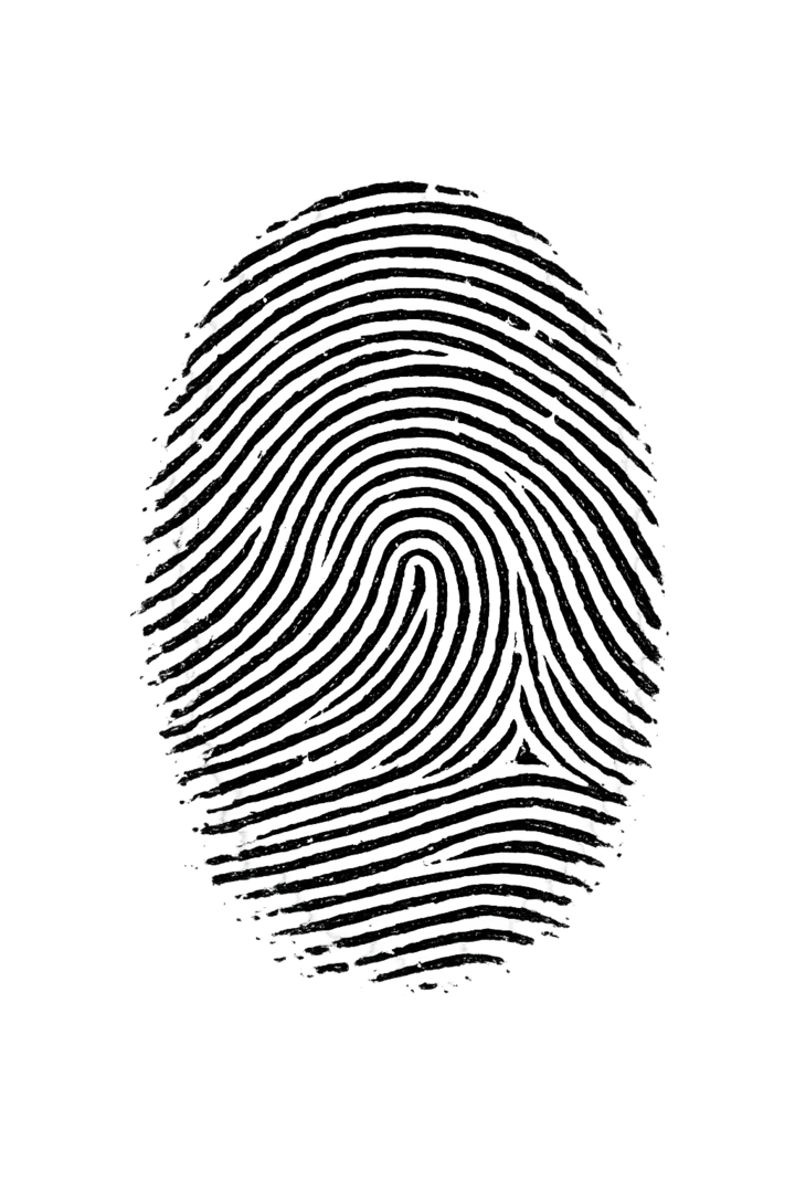 Fingerprint sketch representing proof-of-processing metadata and receipt verification